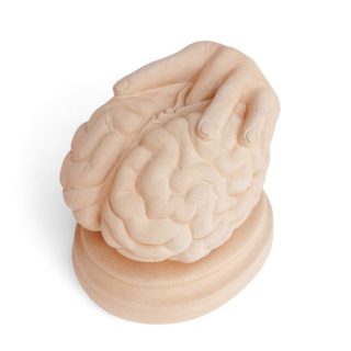 Brainfuck1-810